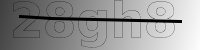 captcha verification