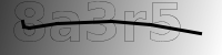 captcha verification