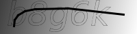 captcha verification