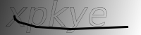 captcha verification